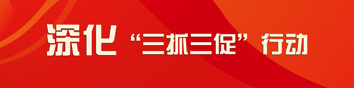 深化“三抓三促”行动