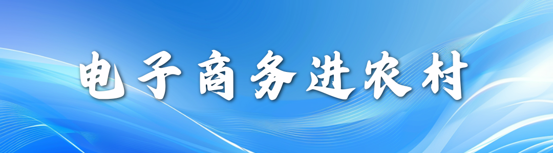 电子商务进农村