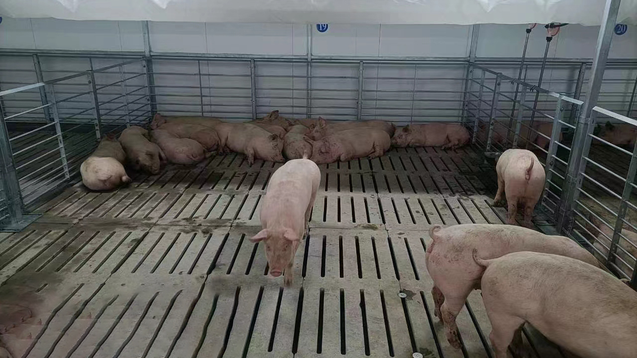 4f61d7f1bf6b7053651587ee74ae66d