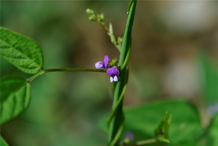 1706685490787596.jpg 2-1-2.jpg