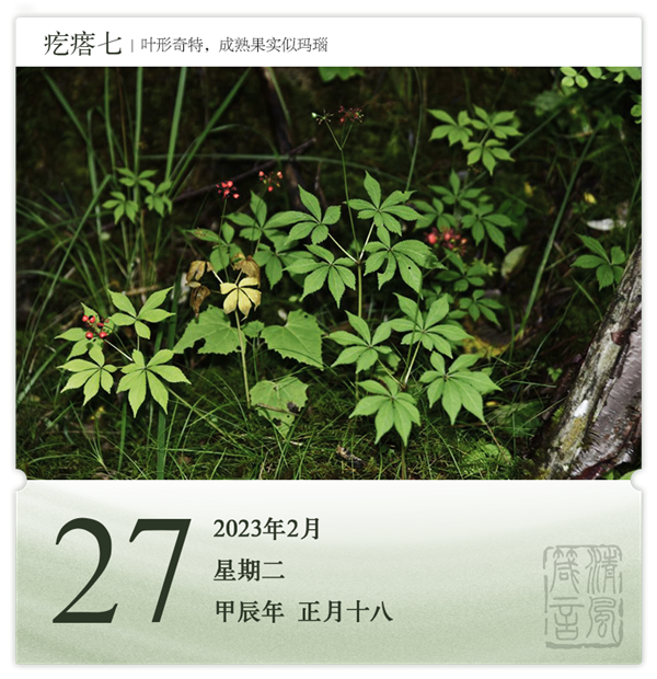 箴历日历2-27.png