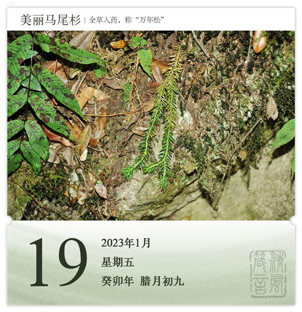 1705573117254899.png 箴历日历1-19.png