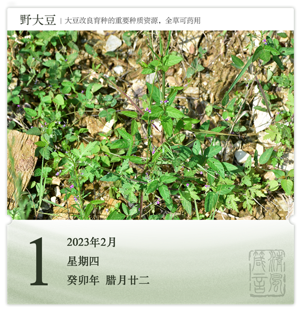 1706685414329258.png 箴历日历2-1.png