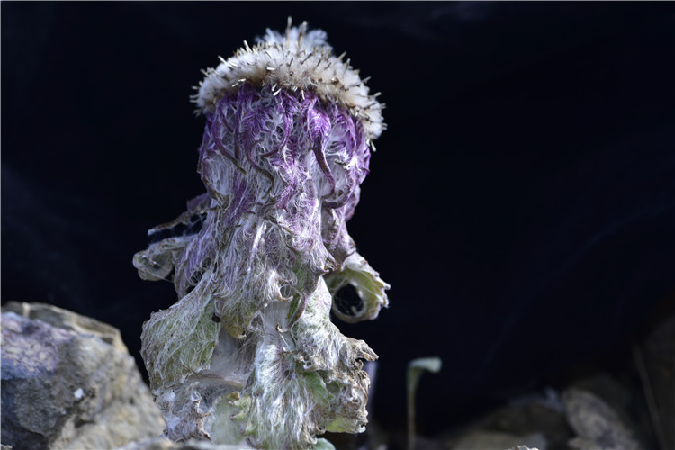 1708312391250531.jpg 23-2.jpg