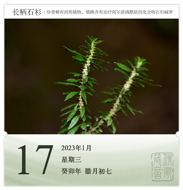 箴历日历1-17.png