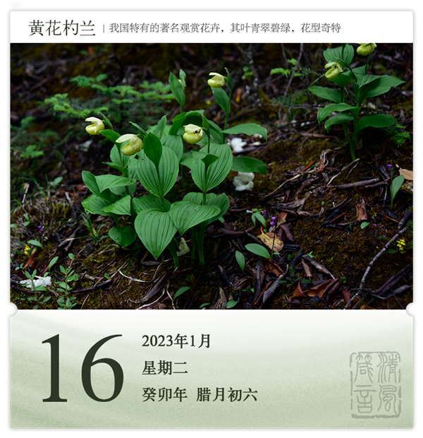 箴历日历1-16.png