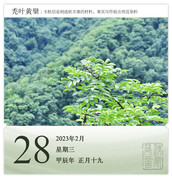 箴历日历2-28.png
