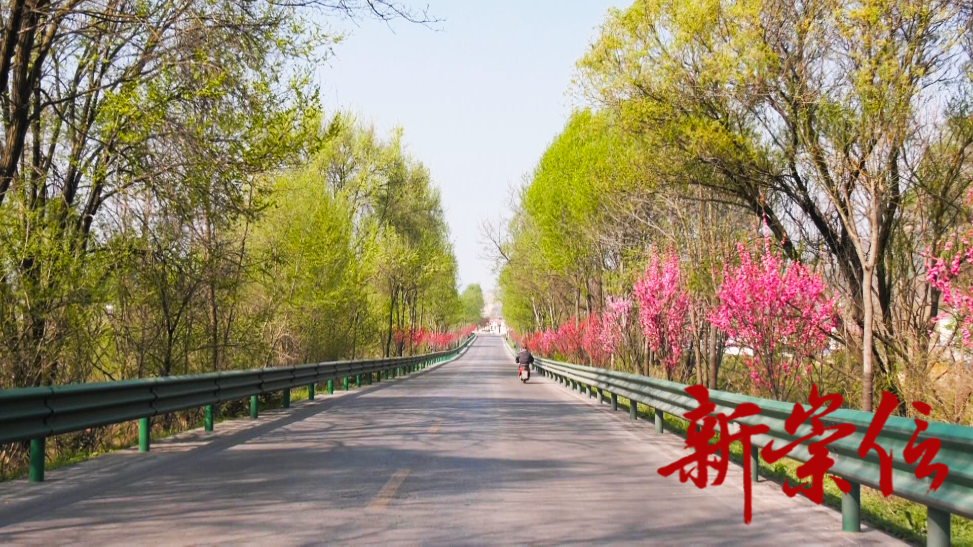 08990001.MP4.07_49_15_09.Still001