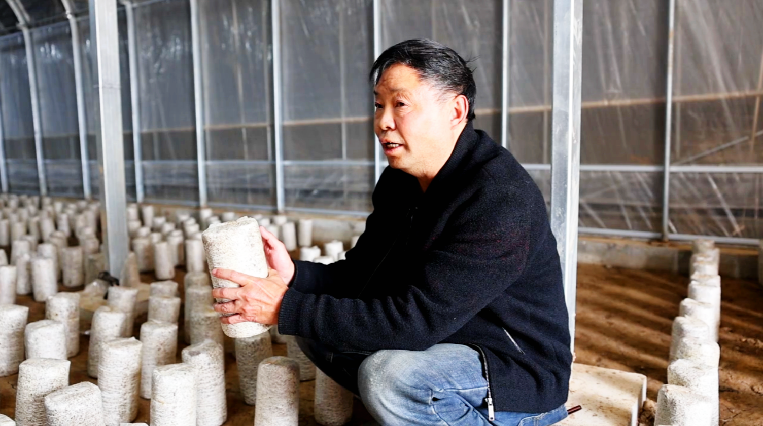 1712634439227093978.png 4e7bc29ba92cb6948f6dab4c8e3937f.png