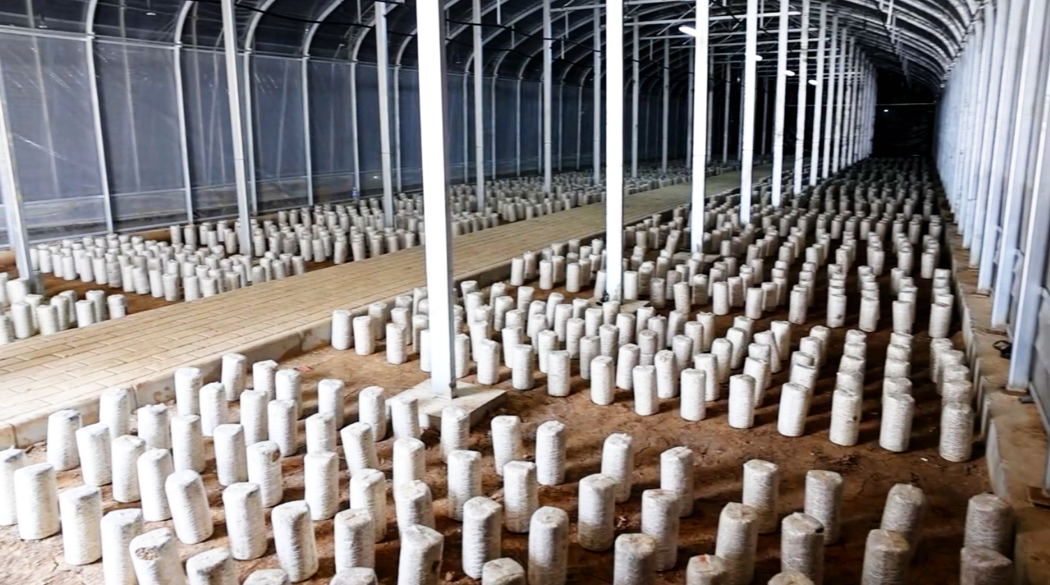 1712634493381033387.png c7a9a25c1986b6e7aefb59b613bb188.png