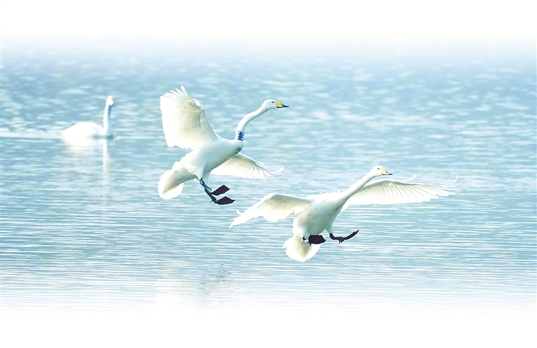 1714903137153516.jpg 20240505_180319_002.jpg