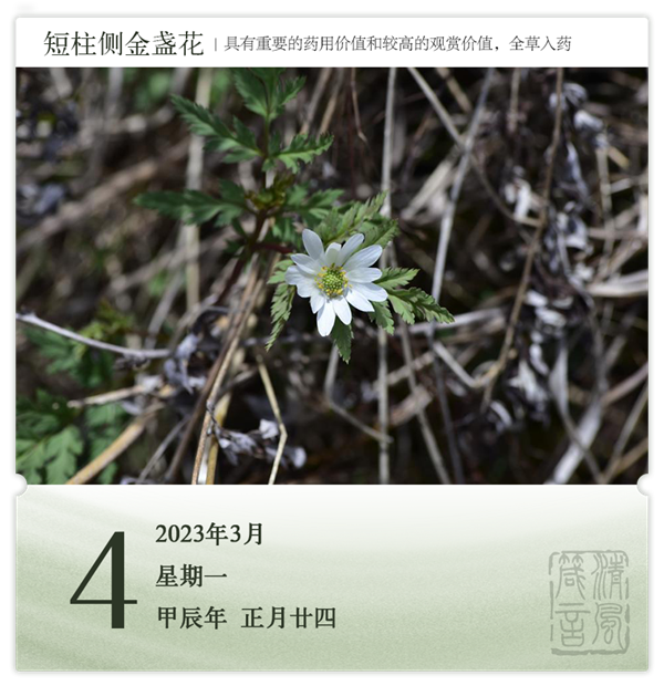 箴历日历3-4.png