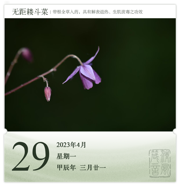 箴历日历4-29.png