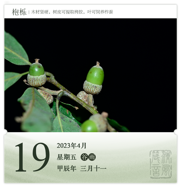箴历日历4-19.png