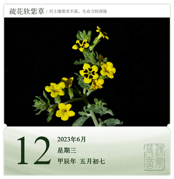 箴历日历6-12.png