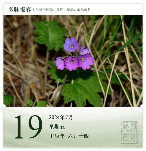 箴历日历7-19.png