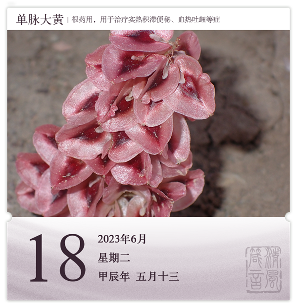 箴历日历6-18.png