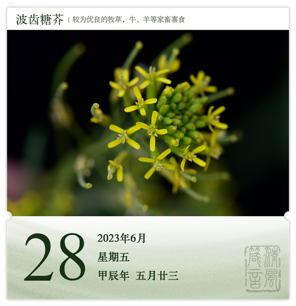 箴历日历6-28.png