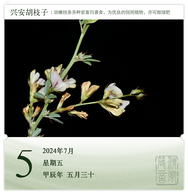 箴历日历7-5.png