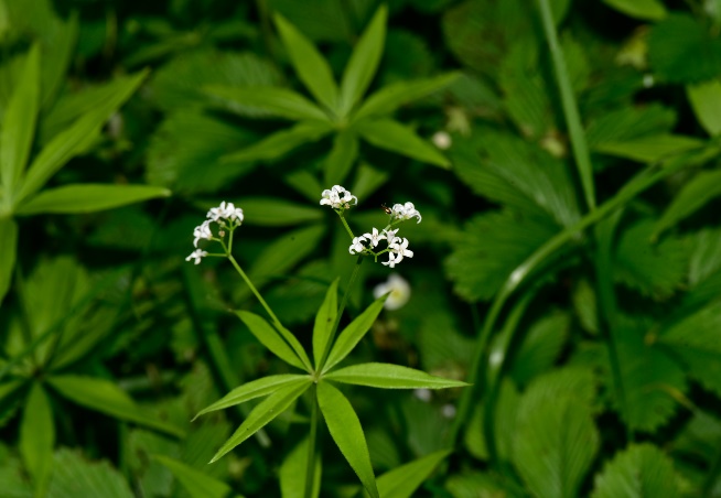 1722581591515326.jpg 19-2.jpg