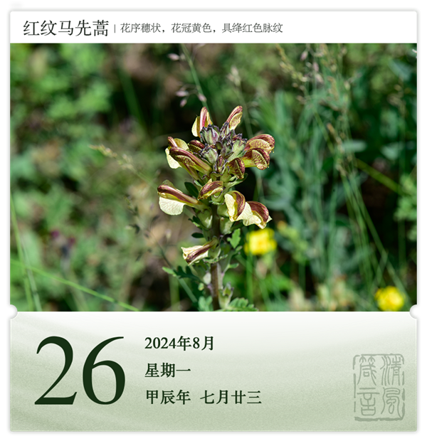 1722582198231778.png 箴历日历8-26.png