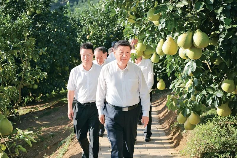 1767165123369266.jpg 1767165123369266.jpg