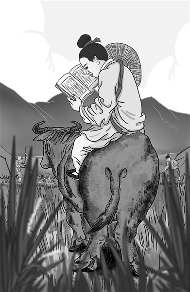 res01_attpic_brief (1).jpg