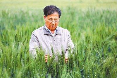 1551051803121857.jpg W020190219605738495354.jpg