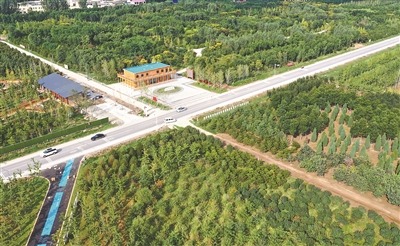 1648680715801653.jpeg W020220331226423688604.jpeg