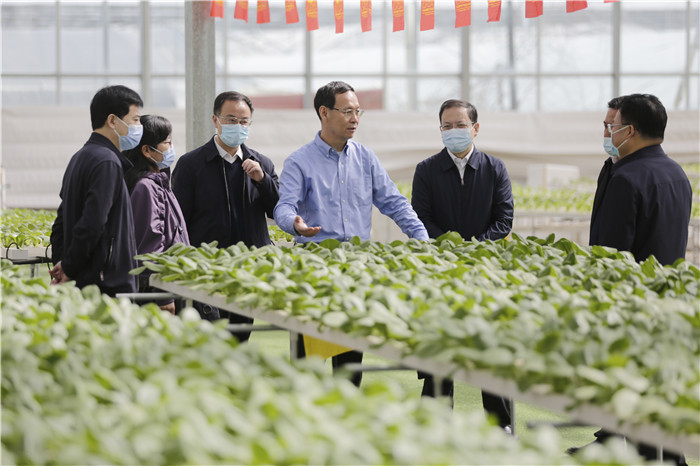 1650595353237104.jpg 1.jpg